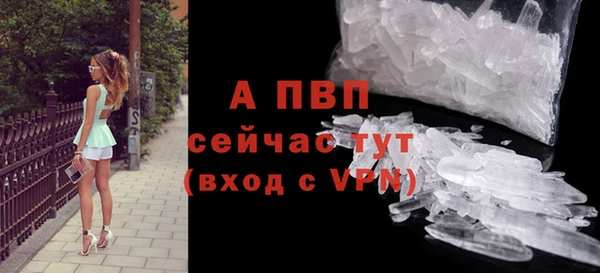 apvp Тайга