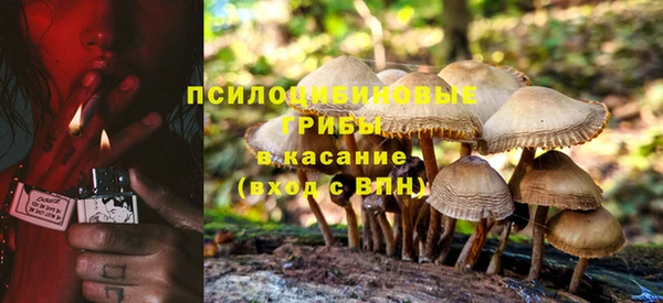 apvp Тайга