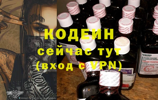 apvp Тайга