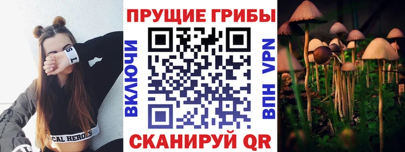 Купить где  Калач-на-Дону  Галлюциногенные грибы Magic Shrooms 
